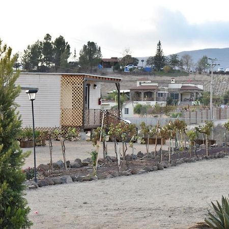 Hotel La Palapa De Jireh Valle de Guadalupe Esterno foto